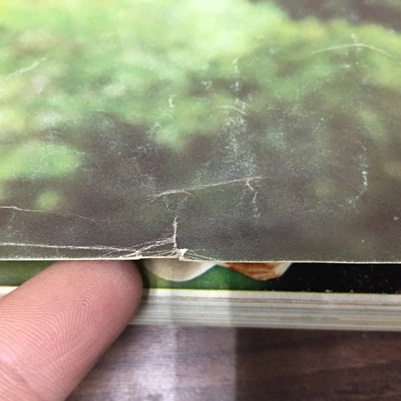 1979 Sears Spring and Summer Catalog Canada *Damaged* - Picture 6 of 16